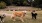 Dogs playing in a grassy park with stone seating